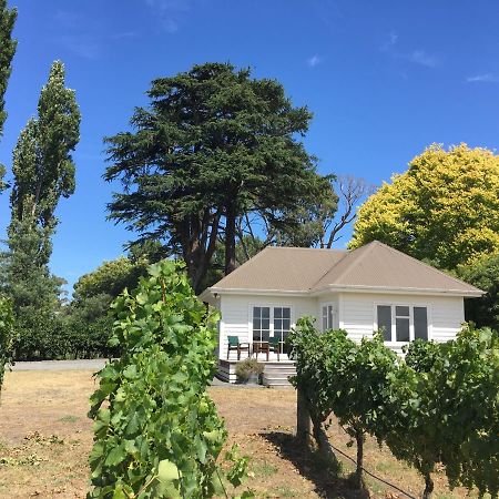 Tuki Vineyard Cottage Havelock North Exterior foto
